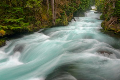 A serene river flows through a lush green forest, with white water cascading over rocks and creating a misty atmosphere.