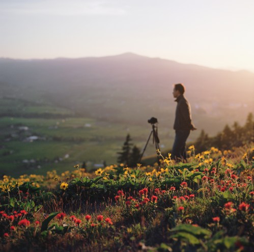 A person stands on a hillside surrounded by wildflowers, with a camera on a tripod, gazing at a scenic landscape.