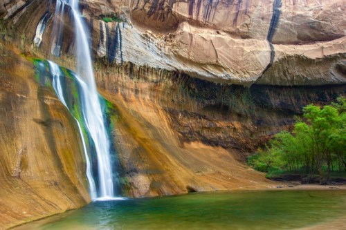 A serene waterfall cascades down a rocky cliff into a tranquil pool, surrounded by lush greenery.
