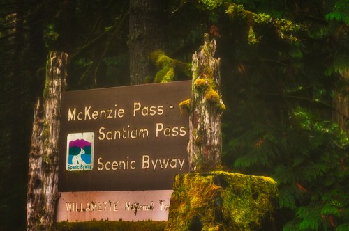 Sign for McKenzie Pass and Santiam Pass Scenic Byway, surrounded by lush green moss and trees in a misty forest.