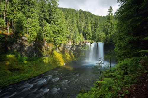 A serene waterfall cascades into a river, surrounded by lush green trees and rocky cliffs in a tranquil forest setting.
