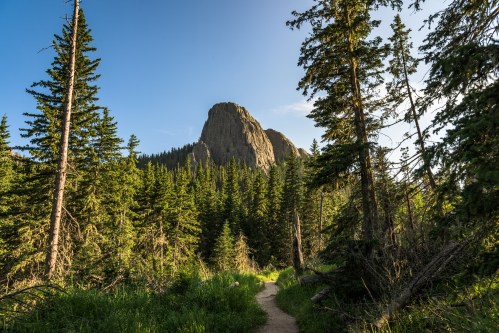 A scenic trail leads through lush green trees towards a towering rock formation under a clear blue sky.