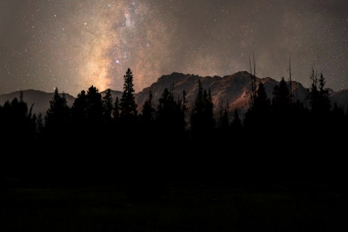 A starry night sky illuminates mountain peaks, silhouetted by dark trees in the foreground.