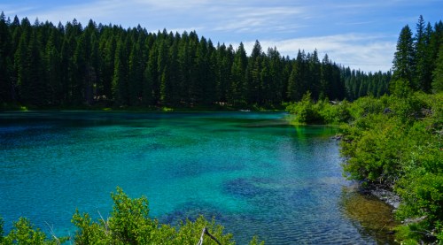 A serene lake surrounded by lush green trees and clear blue water under a bright sky.