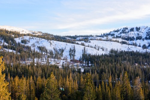 Snow-covered mountains with evergreen trees under a clear blue sky.