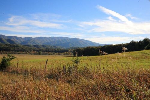 A scenic view of rolling mountains under a blue sky, with a grassy field in the foreground and autumn foliage.