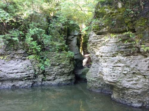 A serene natural scene featuring rocky cliffs and lush greenery surrounding a calm water pool.