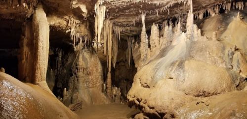 A dimly lit cave interior featuring stalactites and stalagmites, with wet, rocky surfaces and earthy tones.