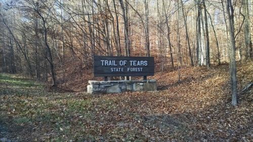 Sign for Trail of Tears State Forest surrounded by trees and fallen leaves in a wooded area.