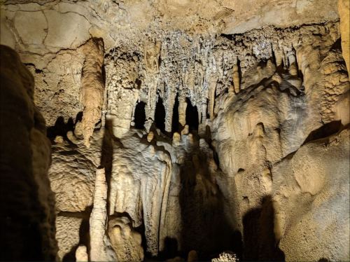 Stalactites and stalagmites in a dimly lit cave, showcasing unique rock formations and textures.
