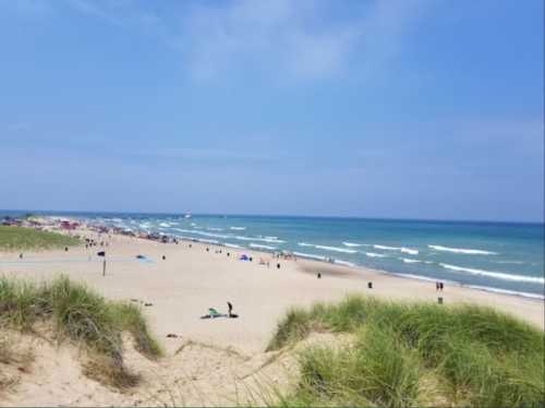 A sunny beach scene with gentle waves, people relaxing, and grassy dunes under a clear blue sky.