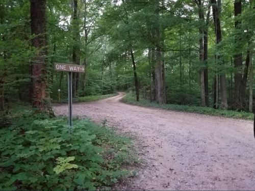 A dirt path in a lush green forest with a sign indicating "One Way" pointing to the right.