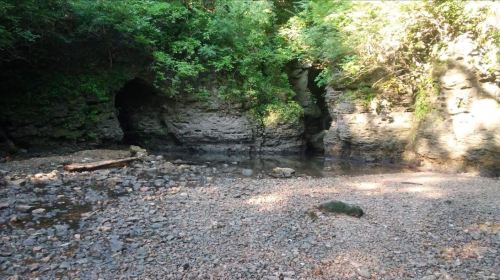 A serene rocky creek surrounded by lush greenery and sunlight filtering through the trees.