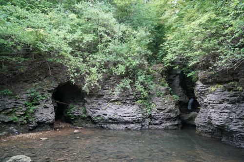 A serene rocky landscape with lush greenery surrounding a calm stream flowing through the crevices.