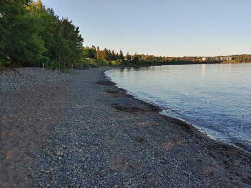 A serene beach with pebbles and calm water, surrounded by trees and distant buildings under a clear sky.