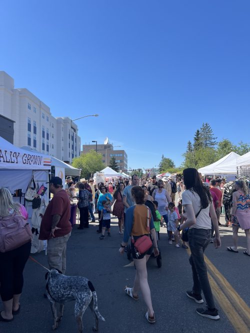 A bustling street market filled with people, tents, and a clear blue sky, with a dog walking among the crowd.
