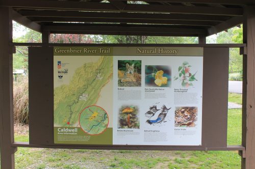 Information sign about the Greenbrier River Trail, featuring a map and details on local natural history and wildlife.