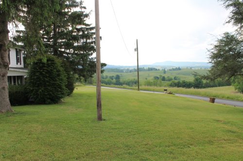 A grassy landscape with trees, a power pole, and rolling hills in the background under a cloudy sky.