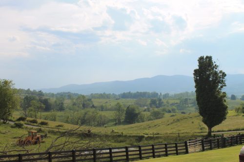 A scenic landscape featuring rolling hills, a tree, and a distant mountain range under a cloudy sky.