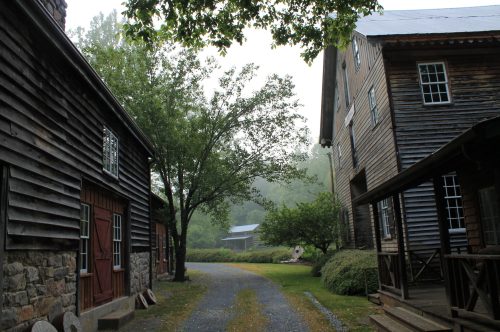 A misty path between rustic wooden buildings, lined with trees and greenery, creating a serene countryside atmosphere.