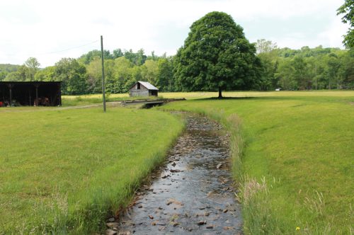 A serene landscape featuring a stream, green grass, a large tree, and a rustic shed in the background.