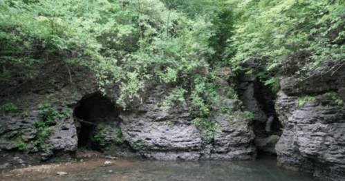 A serene natural scene featuring rocky cliffs surrounded by lush greenery and a calm stream flowing below.
