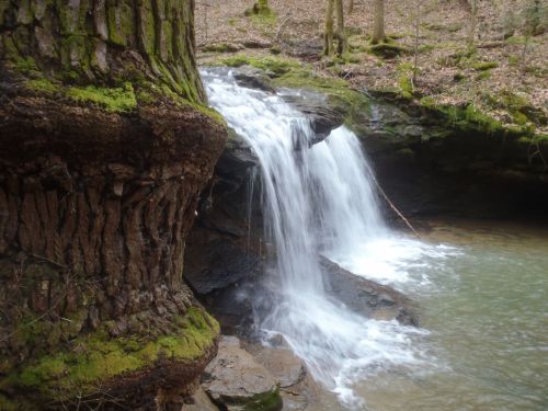 A serene waterfall cascades over rocks, surrounded by lush greenery and a tranquil forest setting.