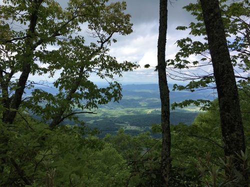 A scenic view of rolling green hills and valleys framed by trees under a cloudy sky.