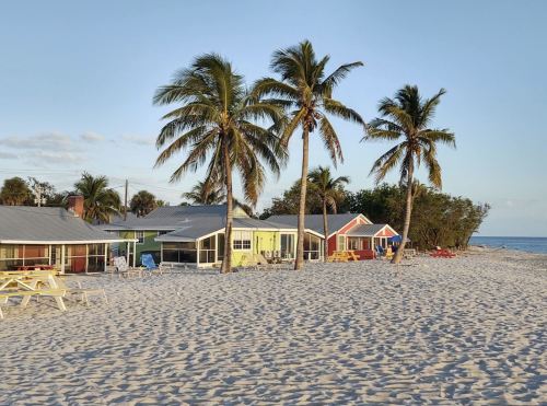 Colorful beach cottages lined along a sandy shore, with palm trees swaying in the gentle breeze and the ocean in the background.