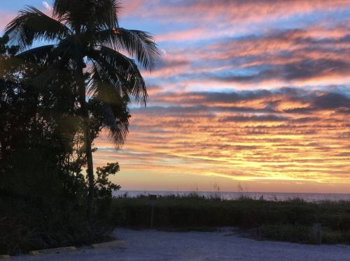 A vibrant sunset with colorful clouds over the ocean, framed by palm trees and lush greenery.