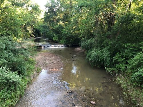 A serene creek flows through a lush green landscape, with a small waterfall and rocky banks visible.
