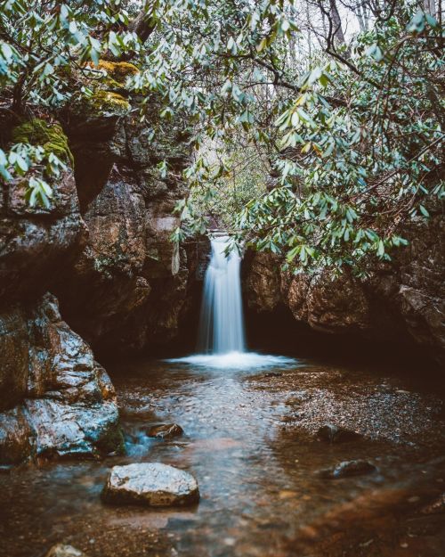 A serene waterfall cascades into a rocky pool, surrounded by lush greenery and moss-covered stones.
