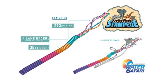Illustration of the Serengeti Stampede water slide, featuring a 293 ft ride, 4 lane racer, and 38 ft drop.