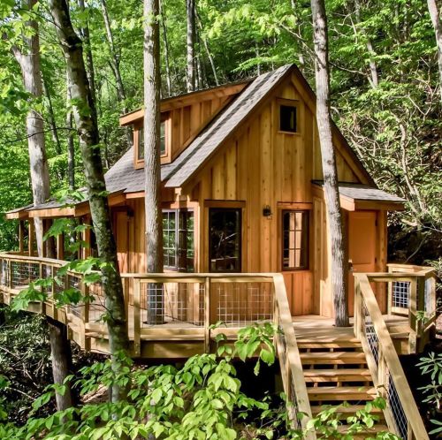 A charming wooden cabin nestled among trees, featuring a deck and stairs, surrounded by lush greenery.