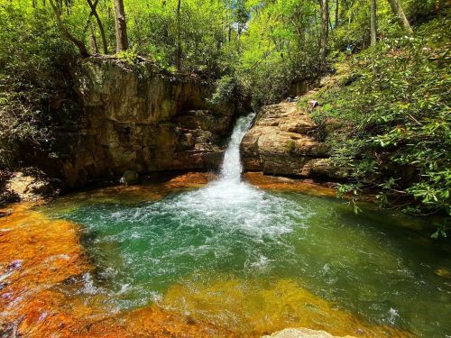 A serene waterfall cascades into a clear, turquoise pool surrounded by lush greenery and rocky terrain.