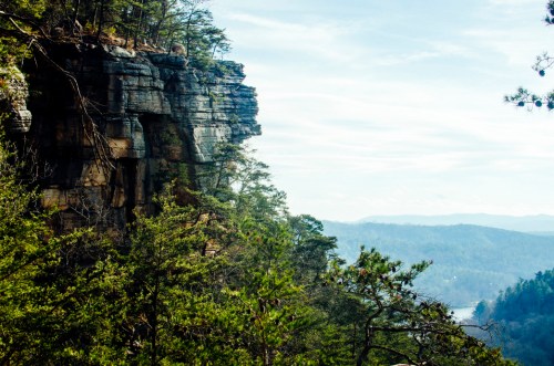 A rocky cliff surrounded by trees, overlooking a valley and distant mountains under a clear sky.
