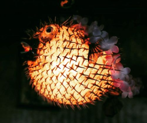 A decorative pufferfish lamp adorned with flowers, glowing warmly against a dark background.