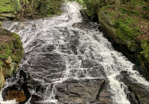 A cascading waterfall flows over dark rocks, surrounded by lush green foliage in a serene forest setting.