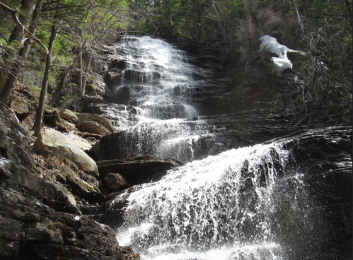 A cascading waterfall flows over rocky terrain, surrounded by lush green trees and a misty spray.