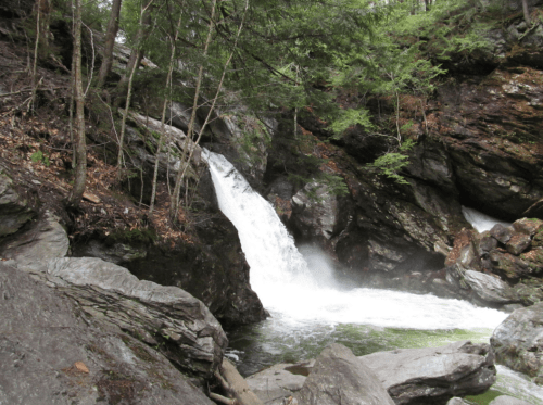 A serene waterfall cascades over rocks, surrounded by lush greenery and trees in a tranquil forest setting.