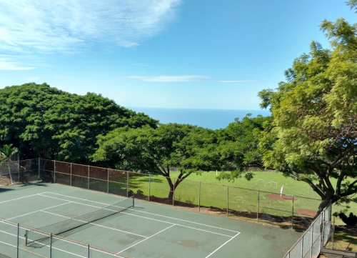 A view of a tennis court surrounded by lush trees, with the ocean visible in the background under a clear blue sky.