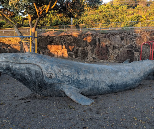 A large whale sculpture in a playground, surrounded by trees and a stone wall.
