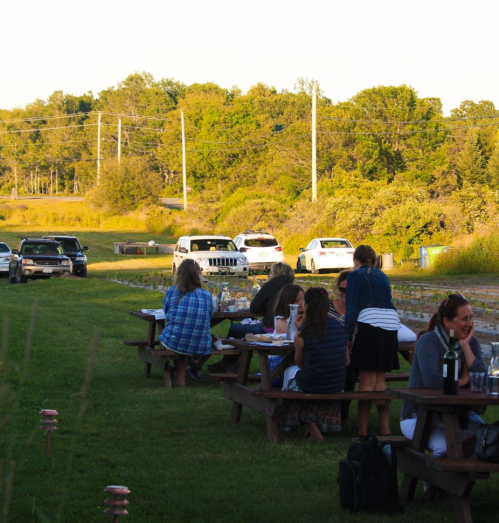 People dining at picnic tables in a grassy area, with cars parked nearby and trees in the background.
