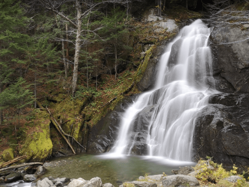 A serene waterfall cascades over rocks into a calm pool, surrounded by lush greenery and moss-covered stones.