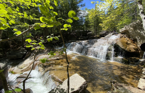 A serene waterfall cascades over rocks, surrounded by lush green trees and bright blue sky.