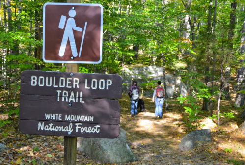 A wooden sign for Boulder Loop Trail in White Mountain National Forest, with hikers walking on a forest path.