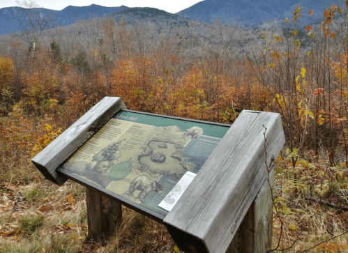 A wooden information sign in a forested area, with mountains and autumn foliage in the background.