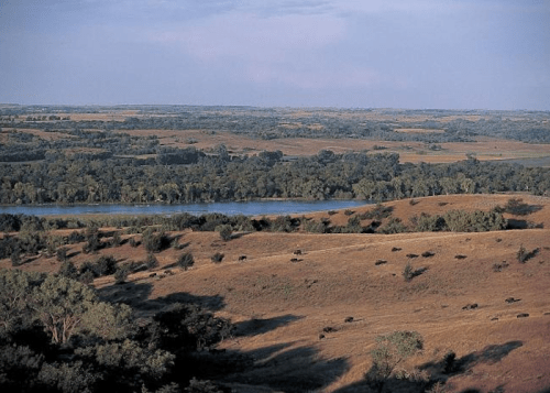 A scenic view of rolling hills and a river, with trees and grazing land under a clear sky.