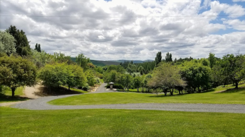 A scenic view of a lush green landscape with trees, a winding path, and a cloudy sky in the background.