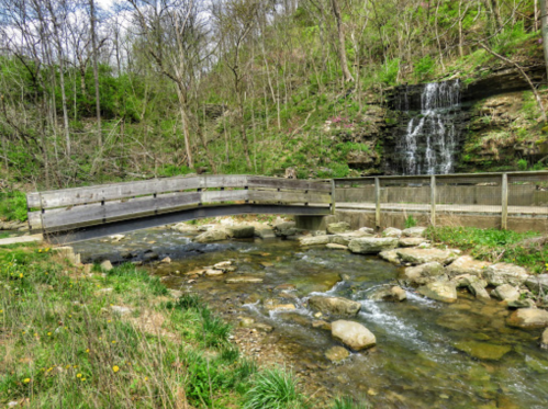 A serene landscape featuring a small waterfall, a wooden bridge, and a rocky stream surrounded by lush greenery.